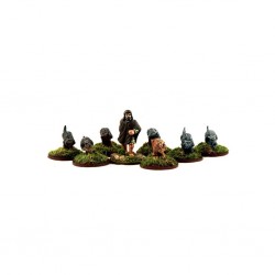  Meute de chiens Irlandais