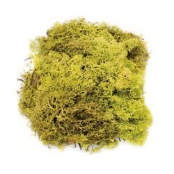 Mousse vert clair 50g 