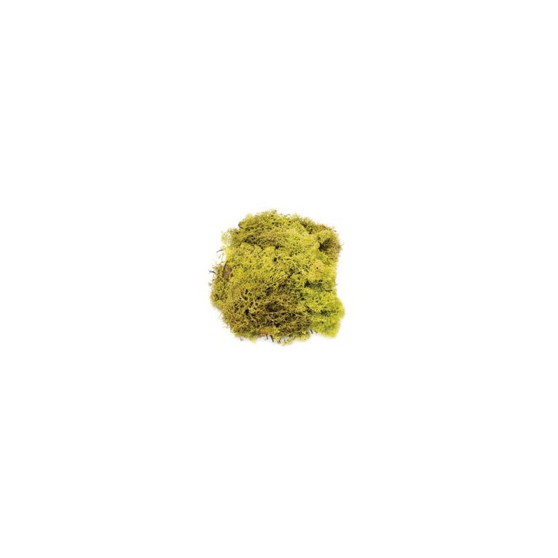 Mousse vert clair 50g 
