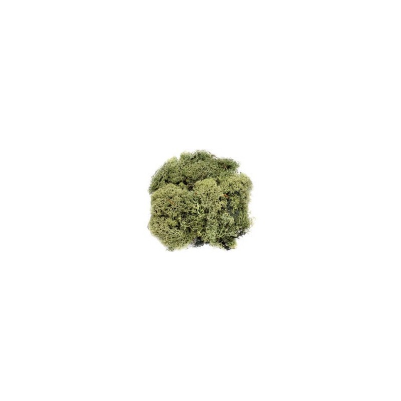 Mousse vert foncé 50g 