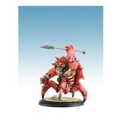 Birgus