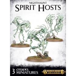 Spirit Hosts