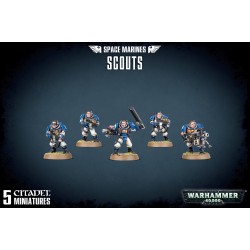 Space Marines: Scouts