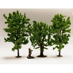 Mélange d'arbres à feuilles...