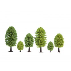10 Arbres feuillus