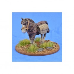 Poney 2