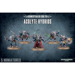 Acolyte Hybrids