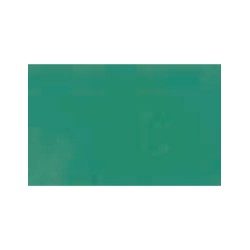 72025 - Foul Green