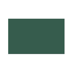 72067 - Cayman Green