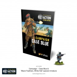 Campaign: Case Blue...