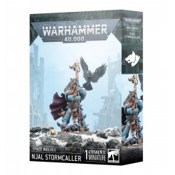 Njál Stormcaller
