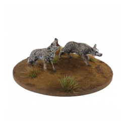 Dead Man’s Hand - Coyotes...