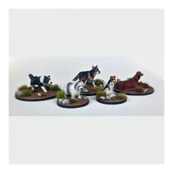 Dead Man’s Hand - Chiens (5...