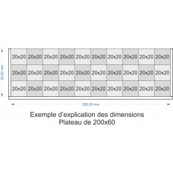 Plateau de mouvement 200x60mm