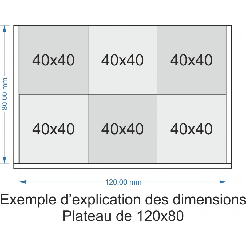 Plateau de mouvement 120x80mm