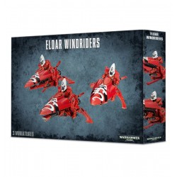 Eldar Windriders                        