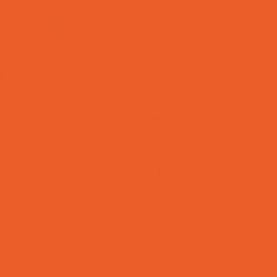 69007 - Orange