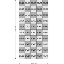 Plateau de mouvement 100x200mm